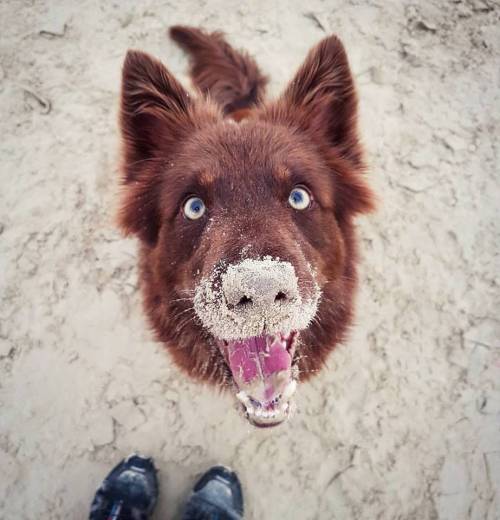 15232089_1528477773848202_6593836742201029504_n